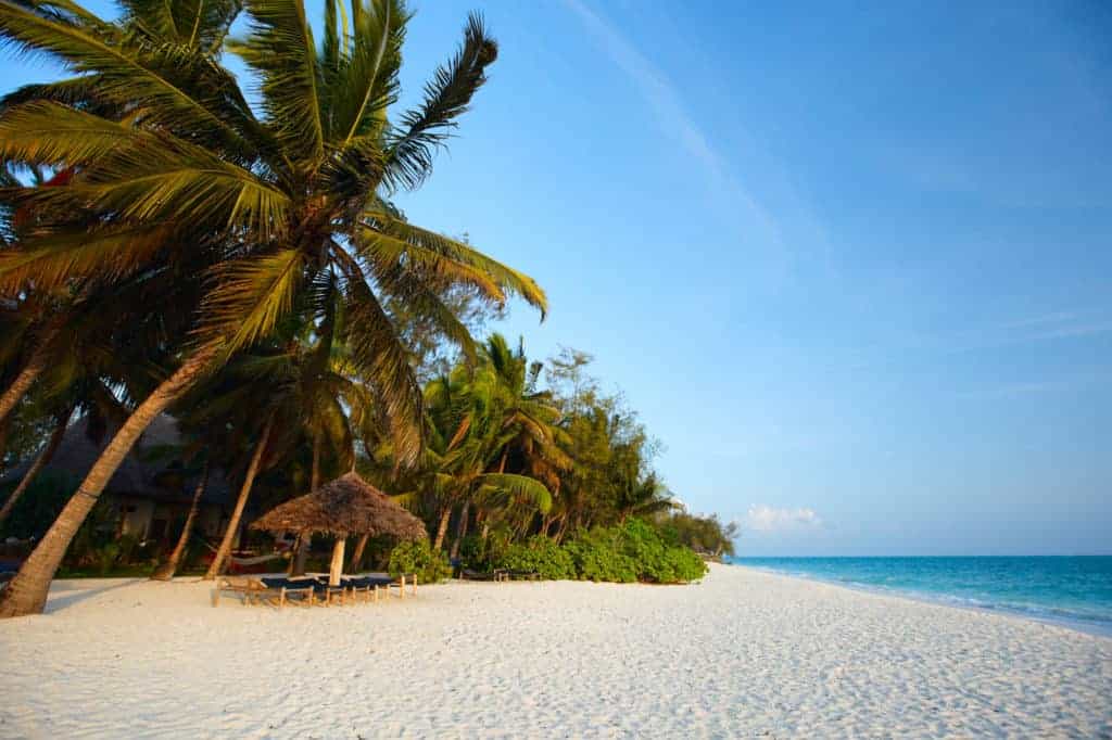 Morning colors of beautiful tropical beach of Zanzibar island, Tanzania