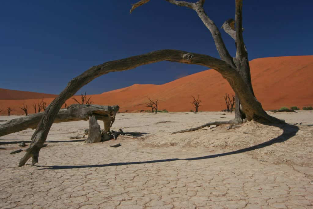 Sunway Namibia Deadvlei bent tree Gary Bowkett