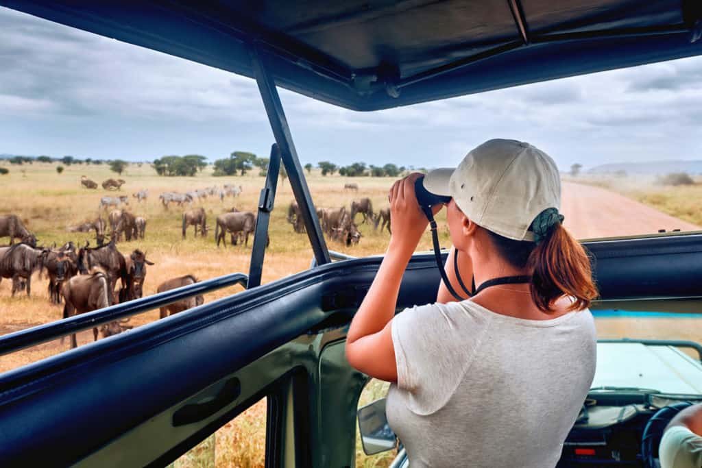 Woman,Tourist,On,Safari,In,Africa,,Traveling,By,Car,With